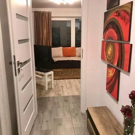 Bezauberndes Gaestehaus Mit Terrasse ニュルンベルク エクステリア 写真